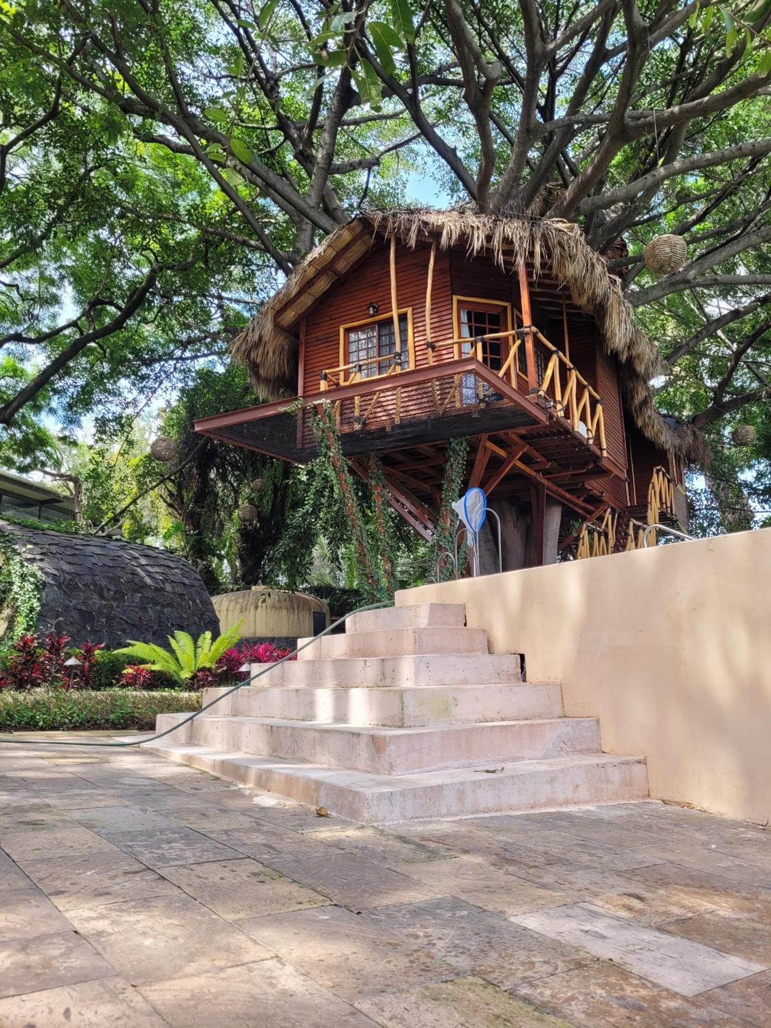 Nido Ecoluxury - Villa San Luis Boutique San Luis Soyatlán Eksteriør billede